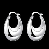 Sterling Silver Hollow Loop Earrings 202//202